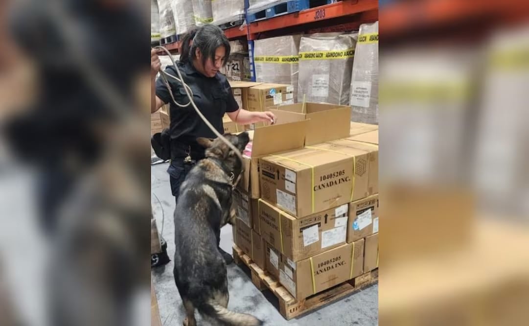 Marina y Aduana del AICM aseguran 22 mil 800 vapeadores; mercancía ilícita tiene valor aproximado de 5.2 mdp. Foto: Especial.