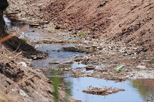 Alistan campaña antidengue