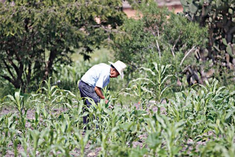 Demandan programa para conservar suelo