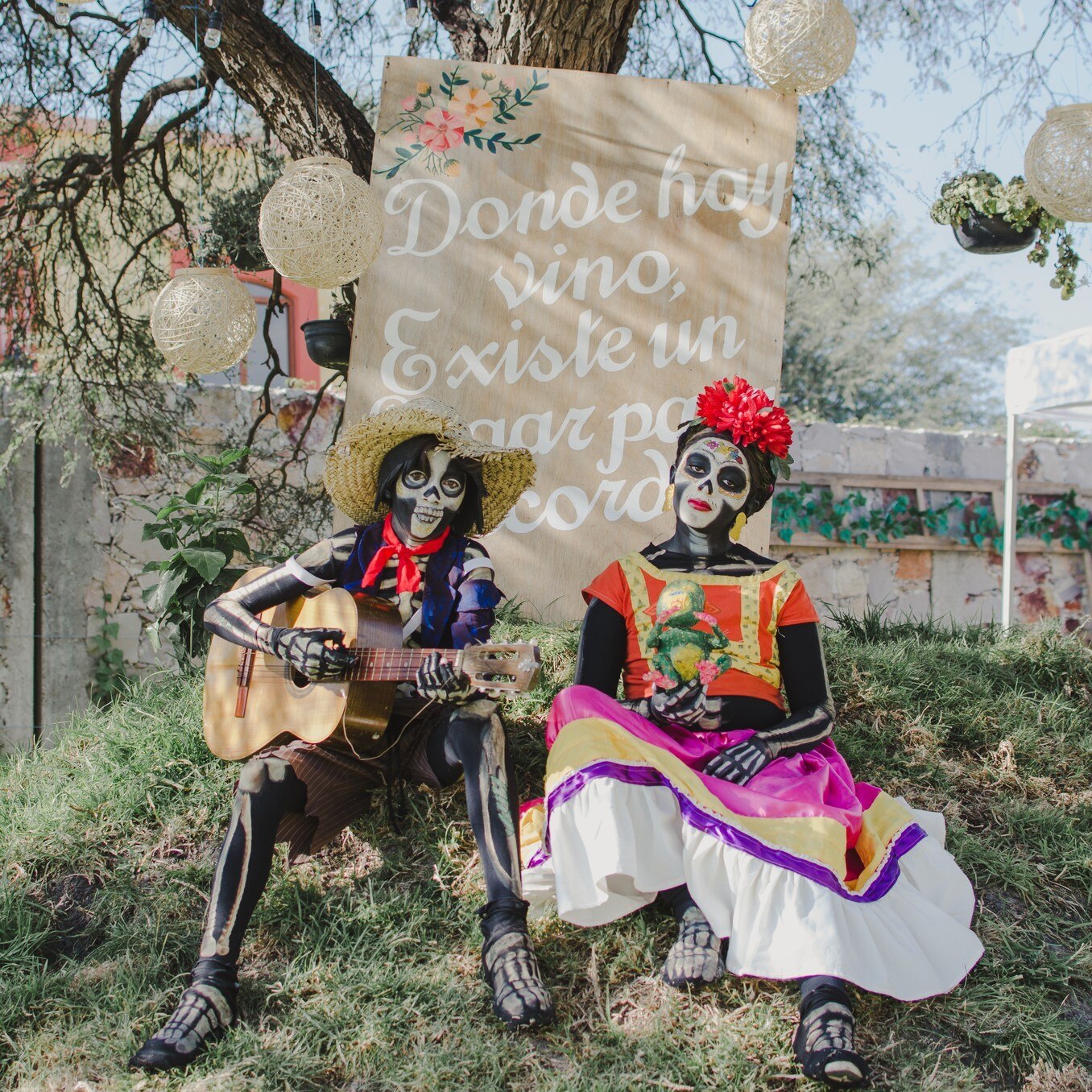 Viñedo Donato, Querétaro. Foto: Especial