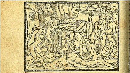 Cuál fue la peculiar criatura de América que cautivó a los europeos del siglo XVI