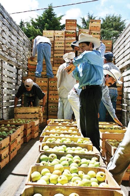 Buen año para las cosechas