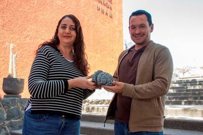 Lánzate a la Semana del Cerebro 2025 de la UNAM Juriquilla 