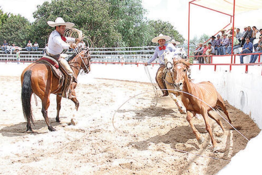 Rancho Agua Santa, a la punta