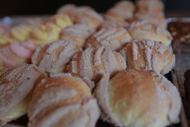 Manteconchas llegan ahora a Tepetongo, Zacatecas