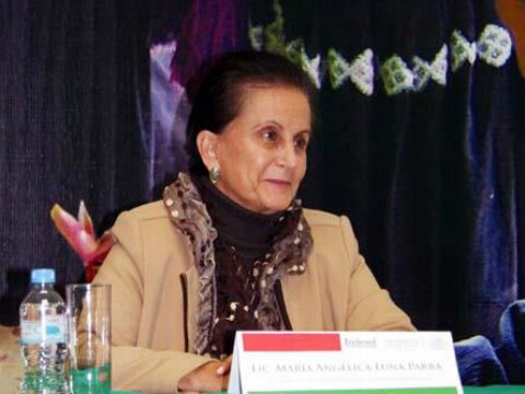 Se registran 23 mil ONG ante Indesol