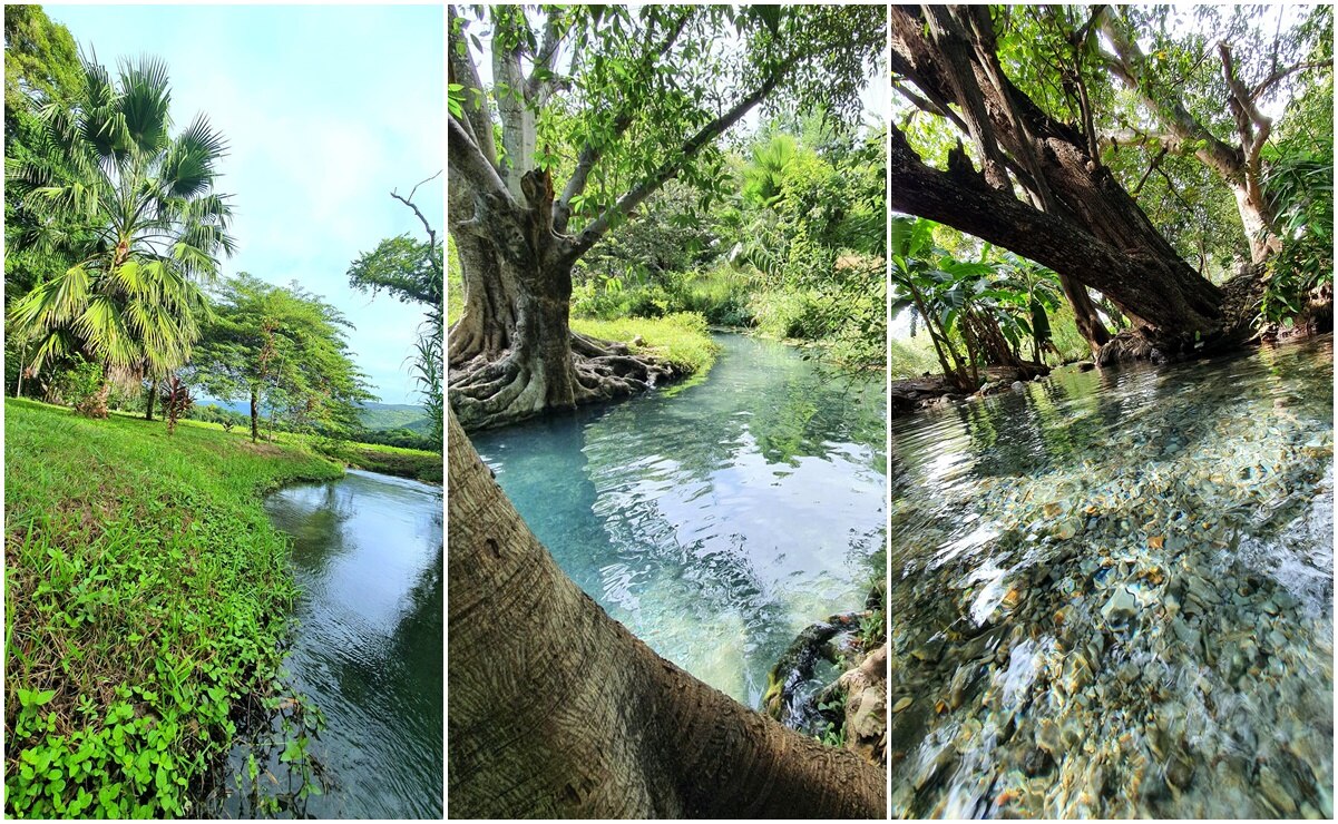 Viaje a la Sierra Gorda: guía para visitar los Manantiales de Concá. Foto: Especial