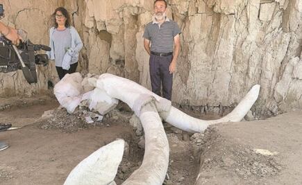 ¿Cómo se hallaron los 14 mamuts cazados hace 14 mil años en Tultepec?