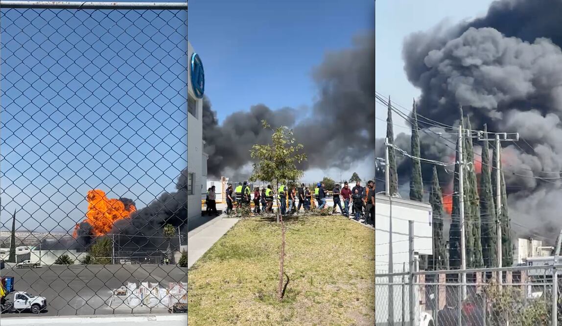 Fotos: Ángel González