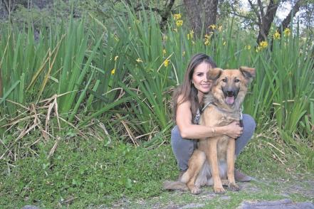 “Los refugios de animales elevan la irresponsabilidad”