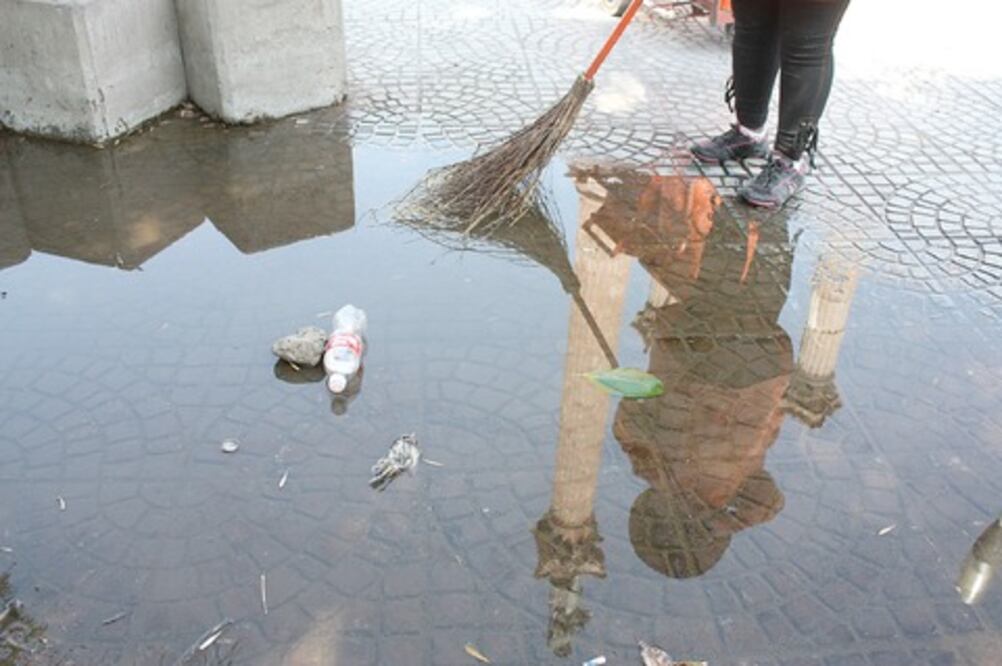 Piden prevención contra dengue