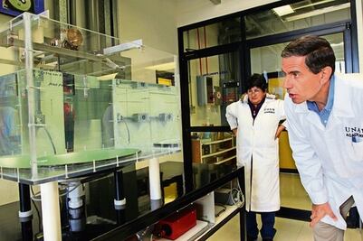 Investigan método para combatir cáncer