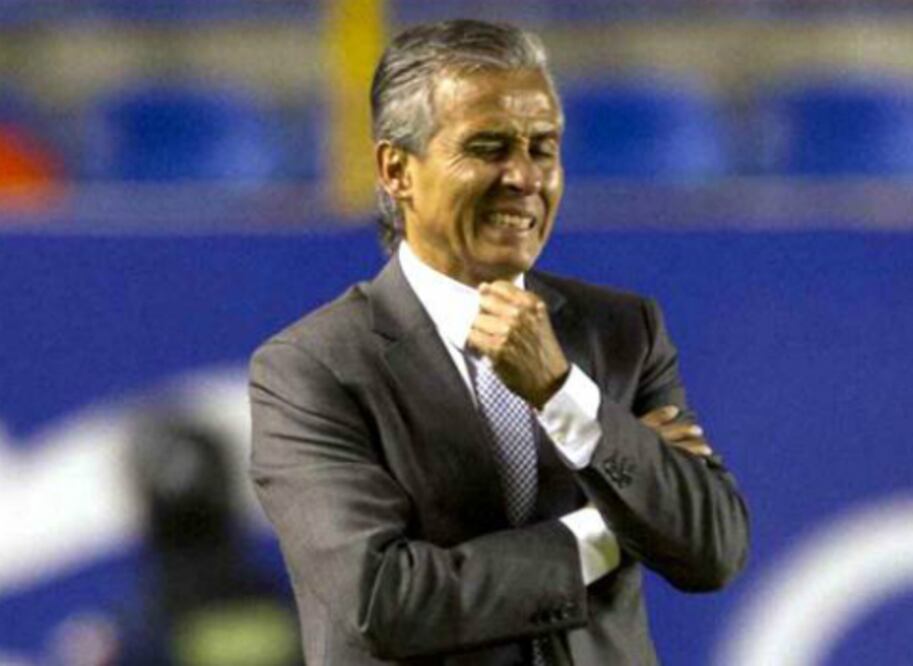 Sale Sergio Bueno de Gallos Blancos