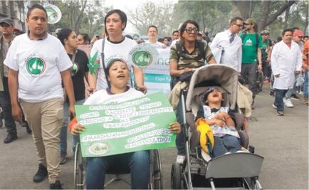 Van por permitir marihuana para cualquier uso