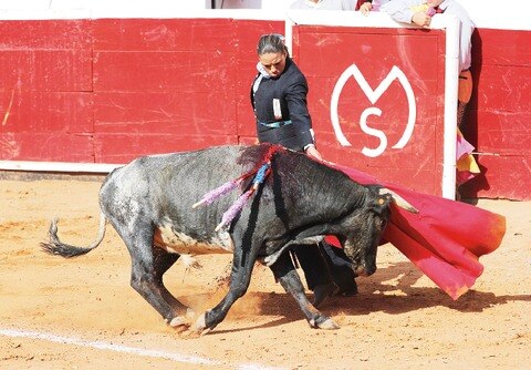 Habrá nuevo festival taurino