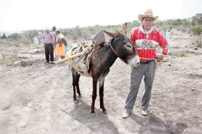 Impulsarán con programa a SJR