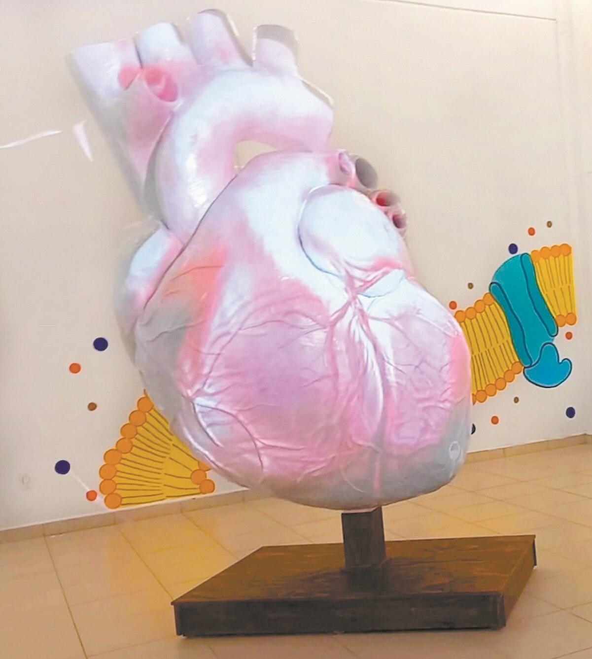 Museo de la UAQ, sincronizado por un corazón