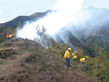 Tendrá Conafor recursos para contingencias