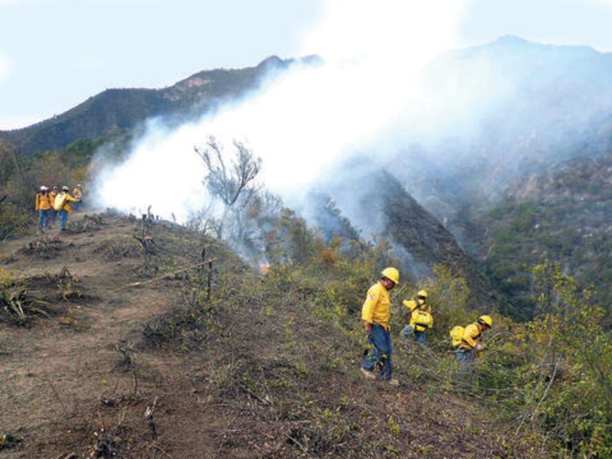 Tendrá Conafor recursos para contingencias