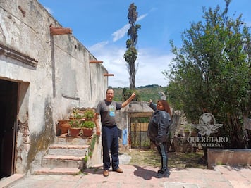 Preocupa a vecinos de La Cañada la posible tala de un ciprés histórico