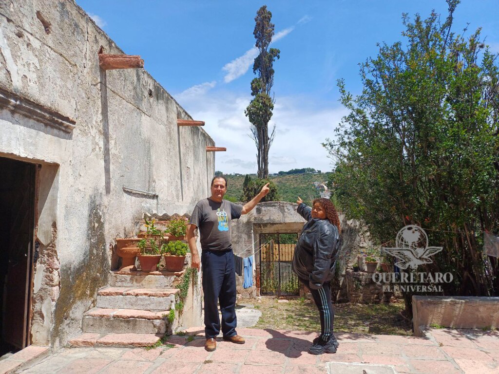 Preocupa a vecinos de La Cañada la posible tala de un ciprés histórico