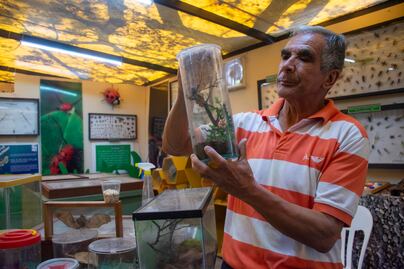 Museo de Bichos, cercanía y aprecio a la biodiversidad