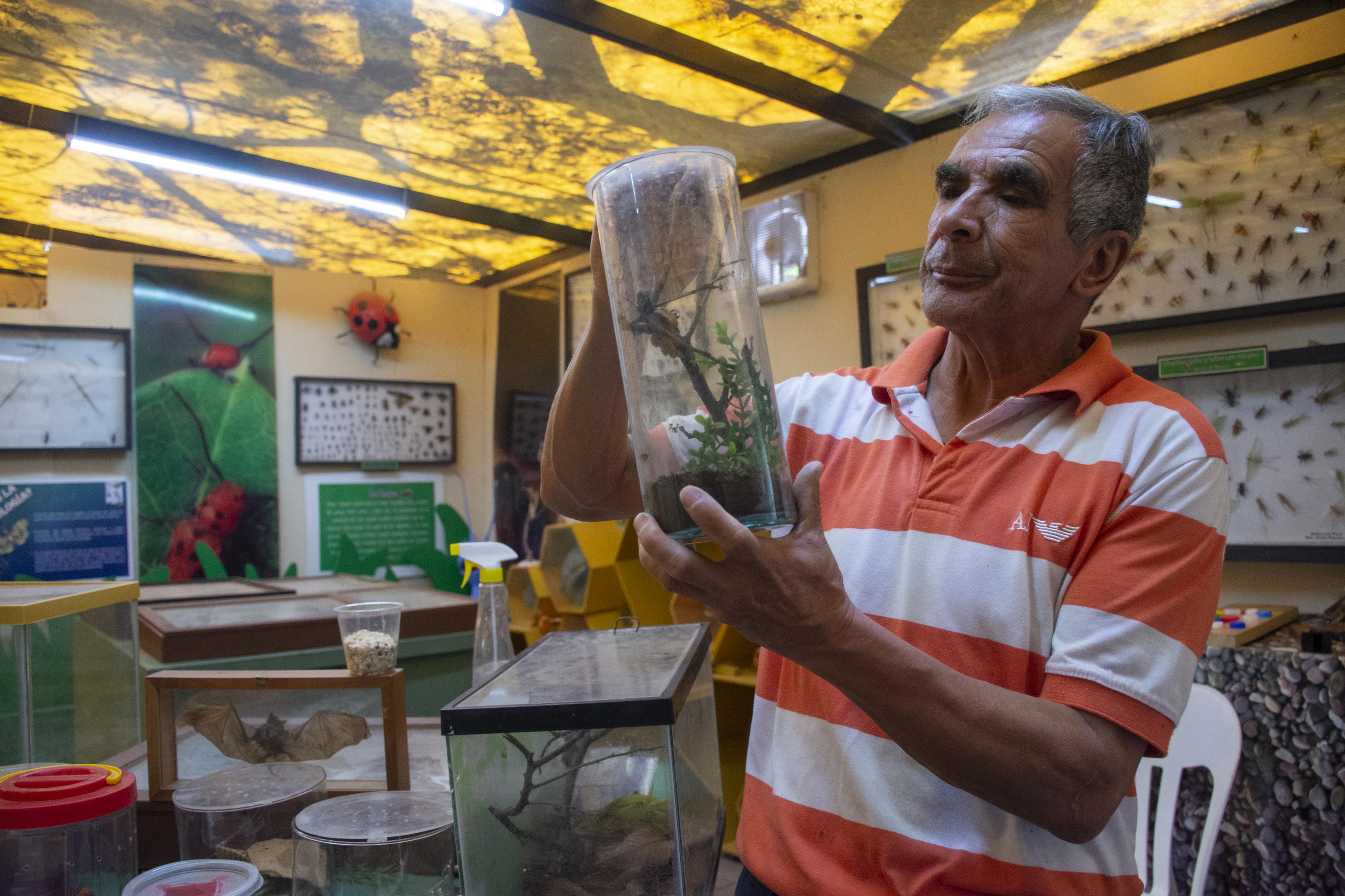 Museo de Bichos, cercanía y aprecio a la biodiversidad