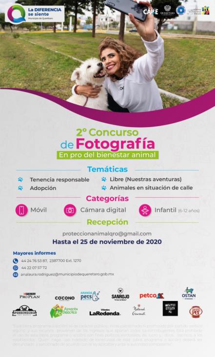 Lanzan concurso de foto para mostrar la vida feliz de los perrhijos en Querétaro