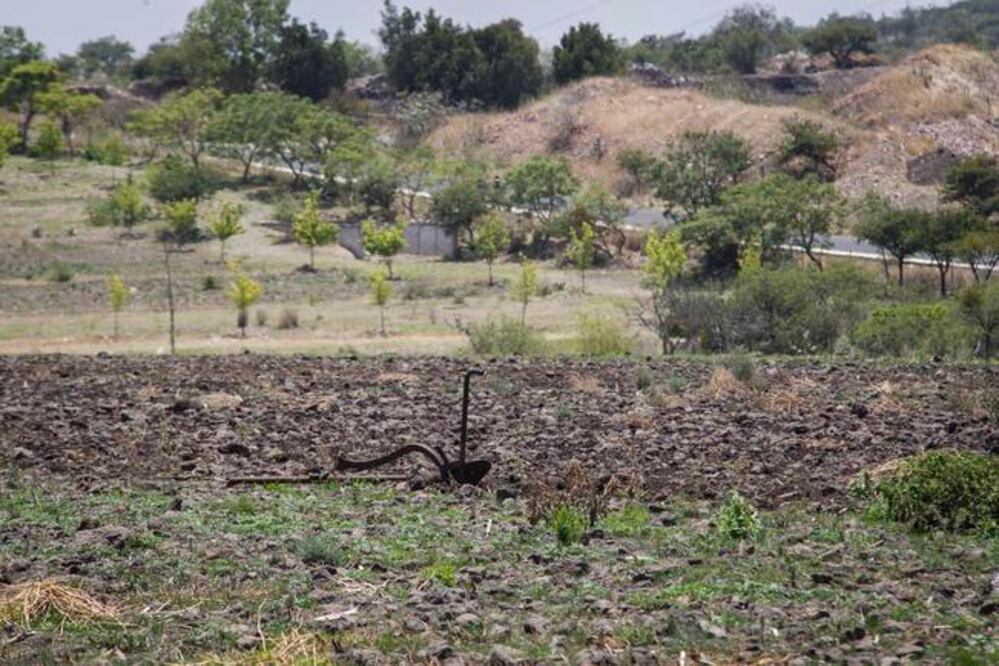 Foto: Demian Chávez, El Universal