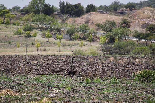 Campo no mejorará en 2020, advierten