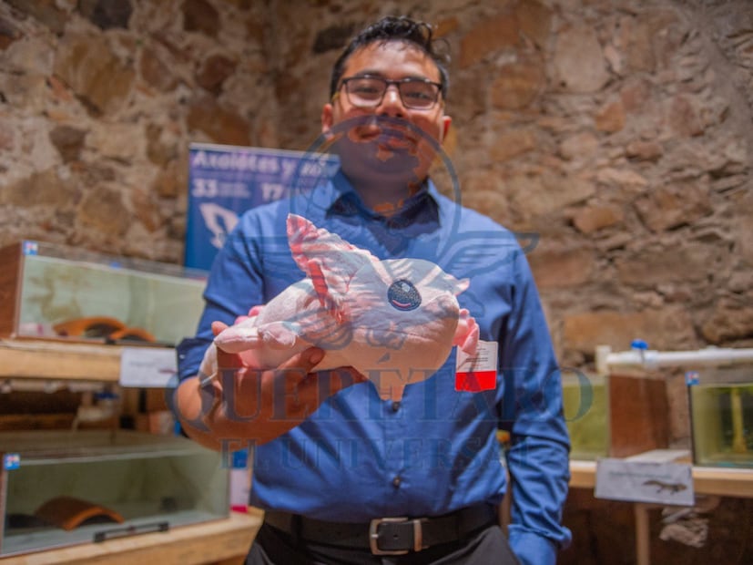 FOTO. FERNANDO CAMACHO