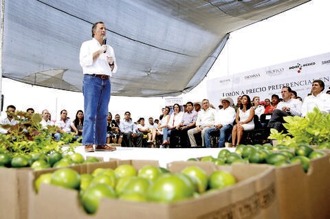 Vende gobierno limón a $23.50