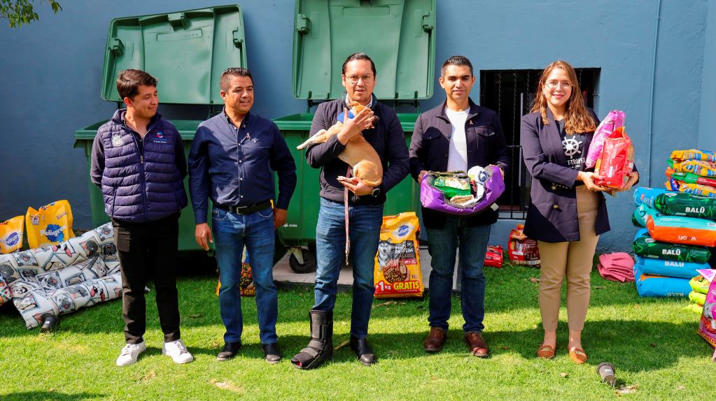 Súmate a la colecta de abrigos para perritos