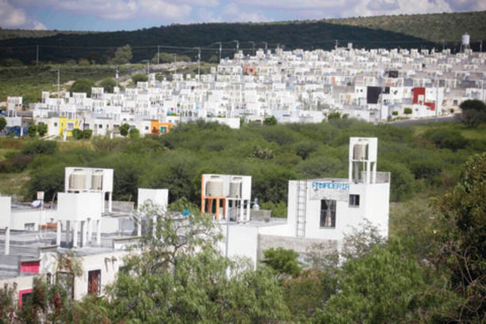 Proyectan proteger 40 hectáreas de reserva