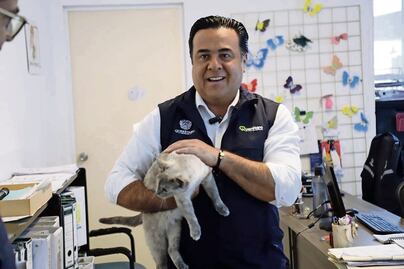 Más de 8 mil animales han sido rescatados, informa Luis Nava