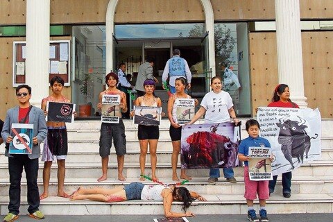 Piden poner fin a corridas de toros