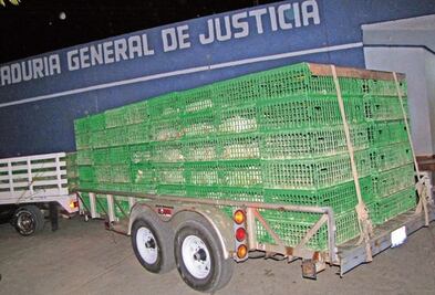 Detienen a 8 personas por hurtar pollos