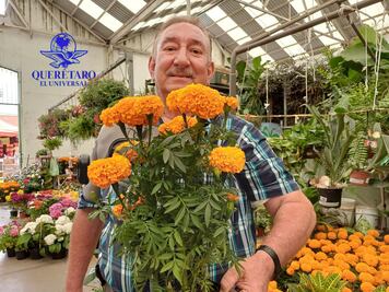 Mercado de las Flores de Querétaro, ya con cempasúchil
