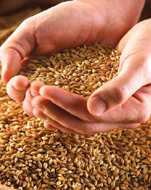 ¡Fusión de sabores!