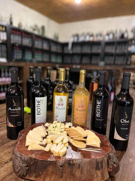 Vendimia 2022. Un viaje por vino artesanal desde 500 pesos a Villa Progreso, el pueblito “italiano” de Querétaro