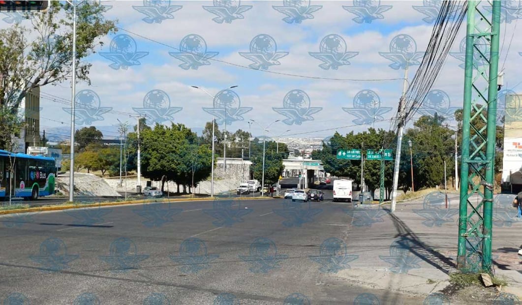 Foto: Domingo Valdez