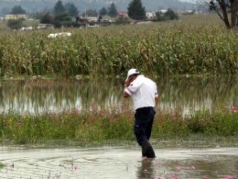 200 hectáreas afectadas por lluvia