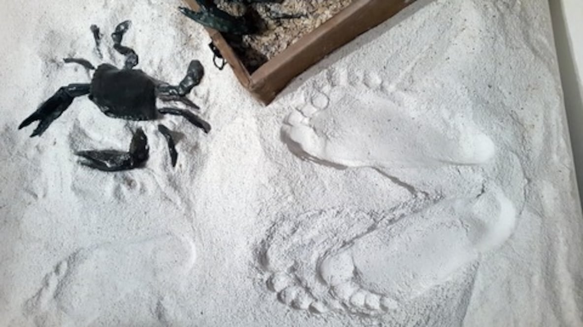  La nostalgia de  Marja