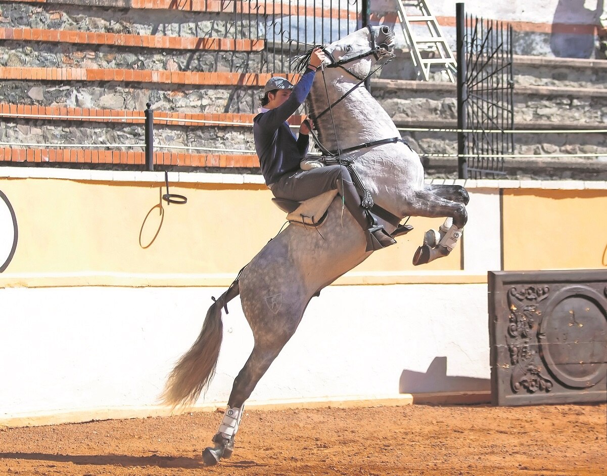 Foto: Cortesía