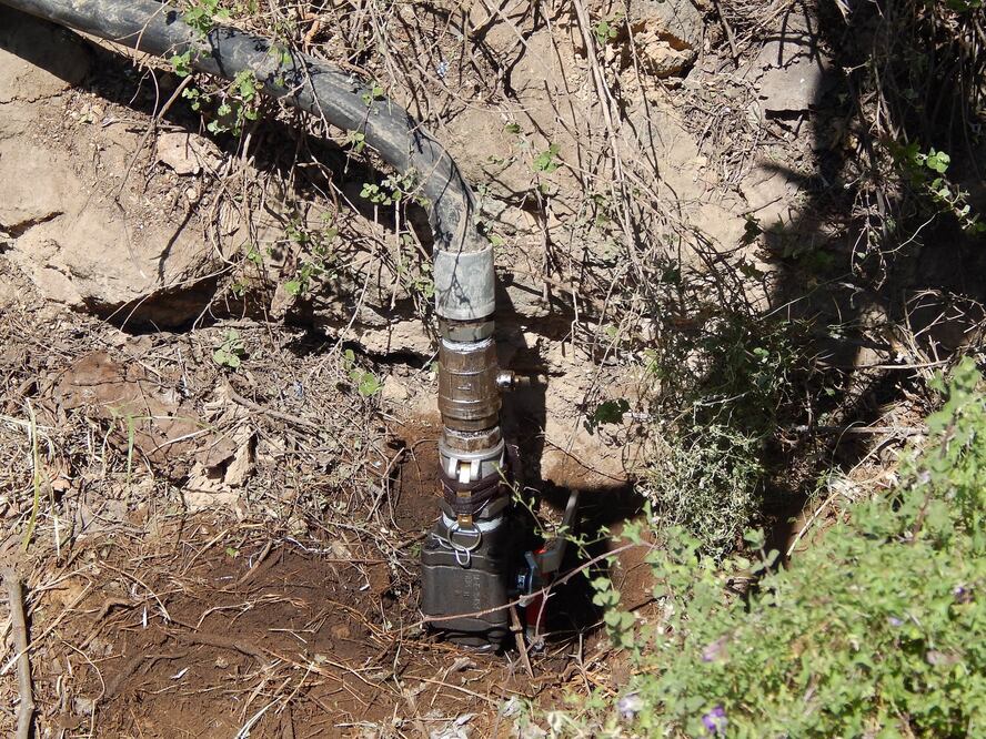 FOTO: Archivo El Universal