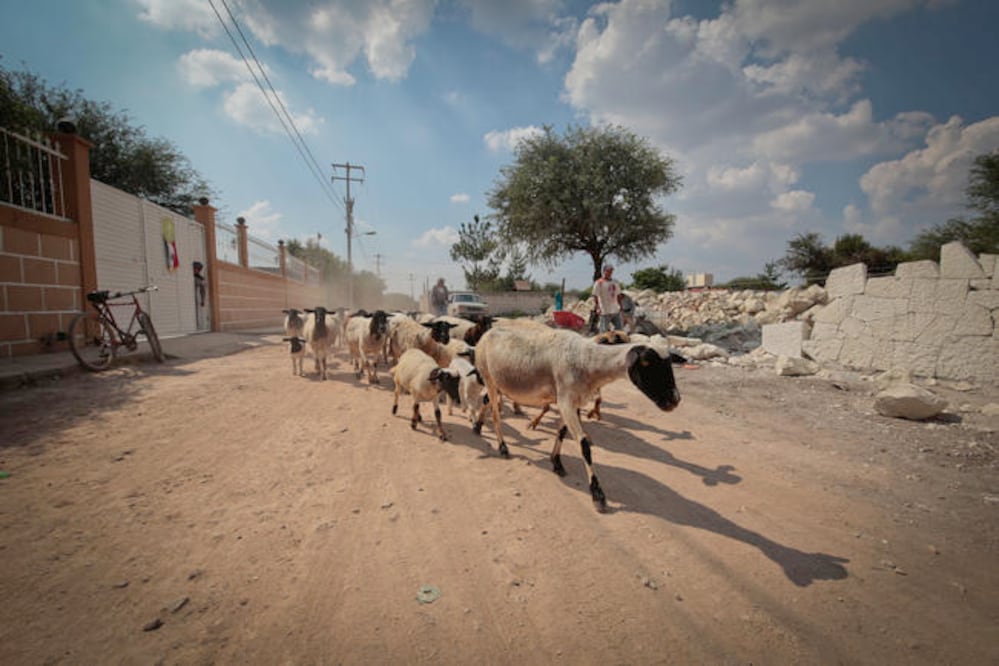 FOTO: Víctor Pichardo