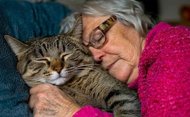 ¿Acariciar gatitos reduce el estrés?, profesora de la UNAM lo explica
