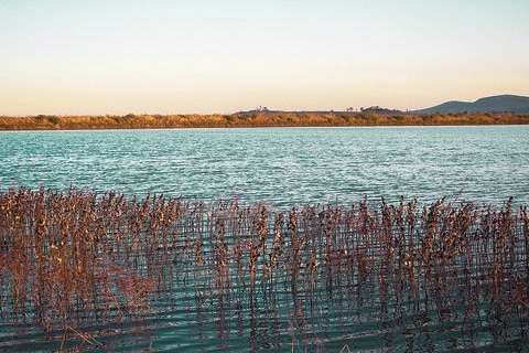 Hay cuatro presas con lleno total: Conagua