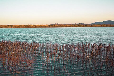 Hay cuatro presas con lleno total: Conagua