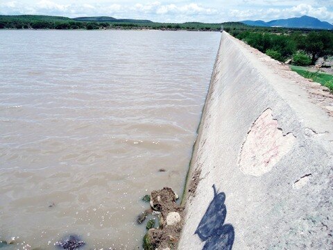 Lluvias insuficientes para llenar bordos